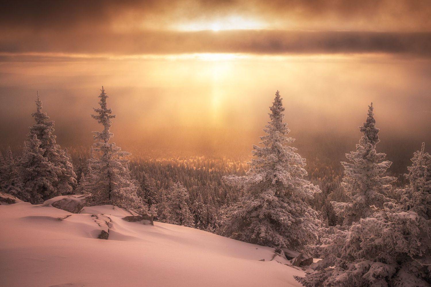 , Татьяна Бирюкова