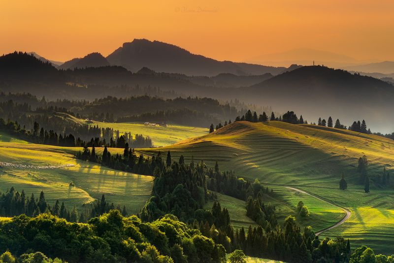 rozdziela, pieniny, polska, poland, mountains, mountainscape, landscape, sunset, tuscany, trees, trzy korony, nikon, tamron, orange, krajobraz, pejzaż Polish Tuscanyphoto preview
