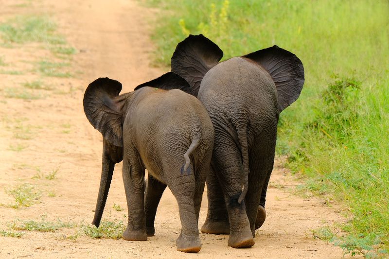 Small&smaller photo preview