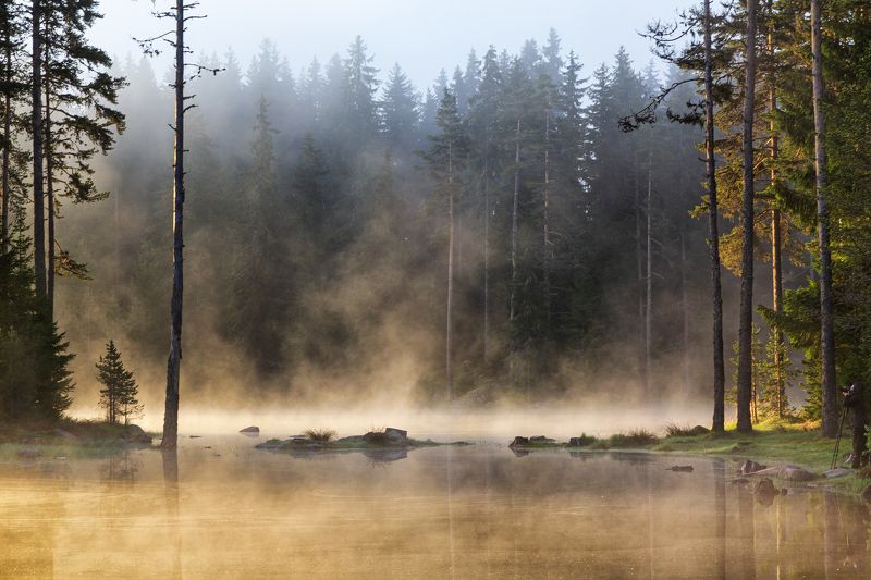 early morningphoto preview