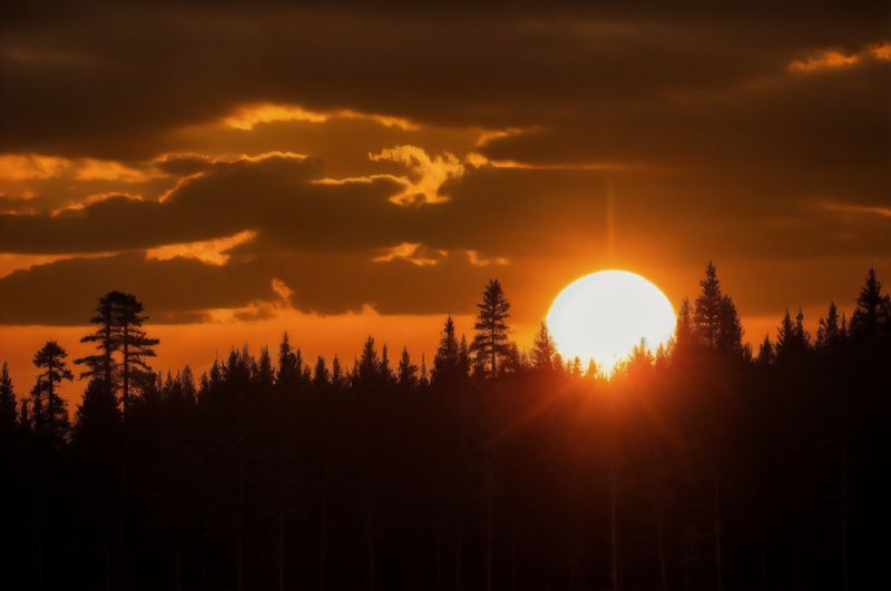 солнце, закат, пейзаж, темный лес, длинный фокус Прощальный взгляд уходящего солнцаphoto preview