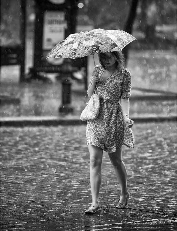 фото фото превью