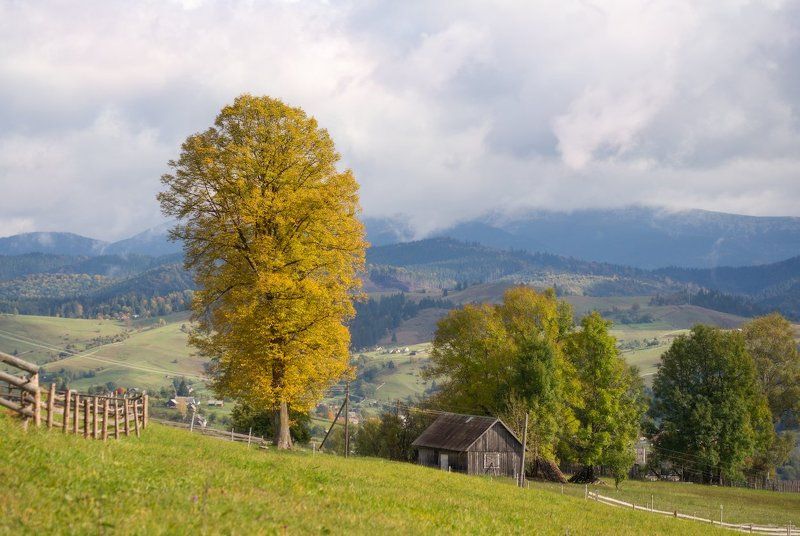 горы,карпаты,свет,осень,природа,красота,деревня,украина Карпаты. Село Черная Тисаphoto preview
