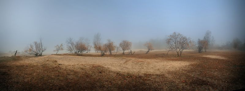 Утро.photo preview