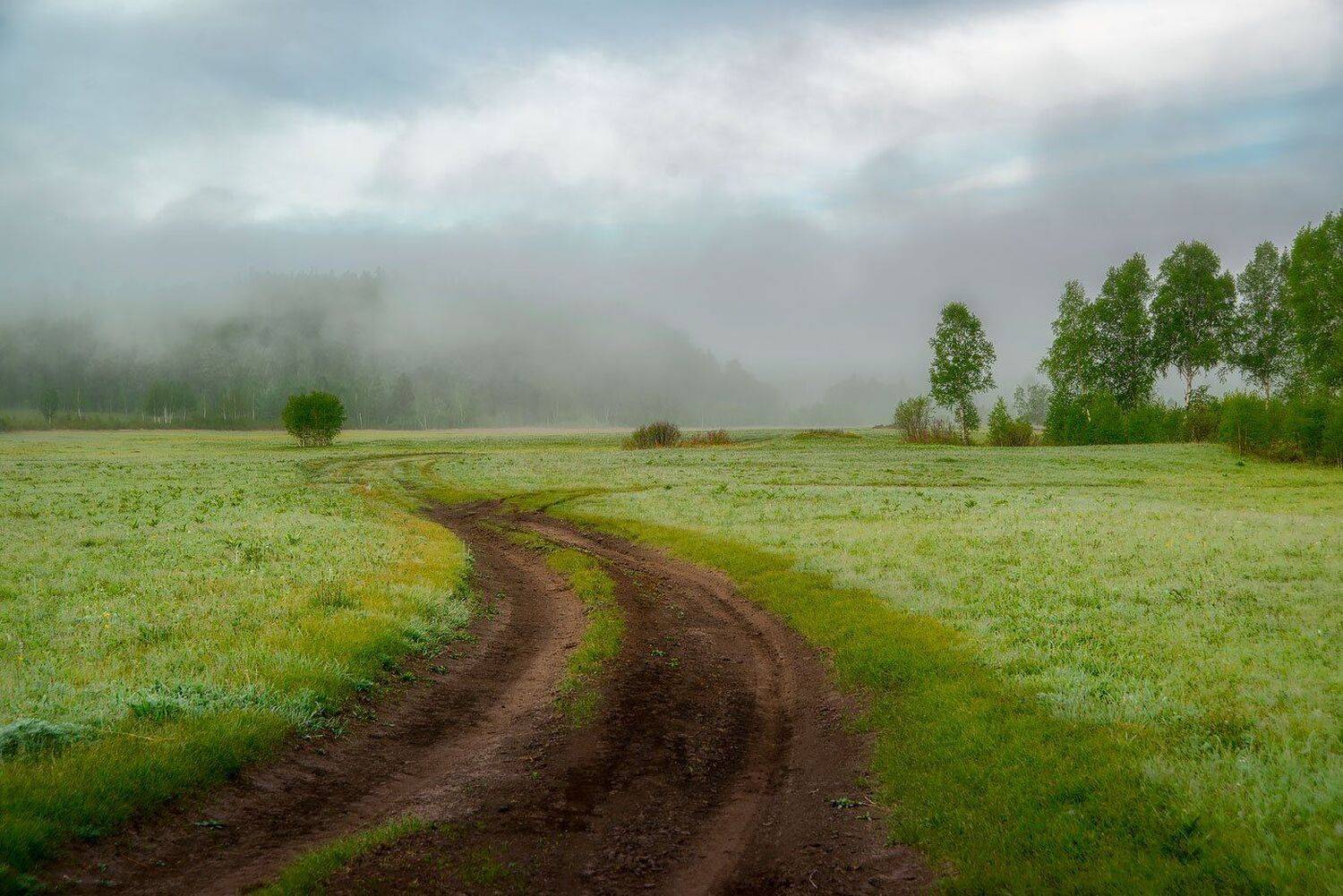 Дорога в никуда. Автор: Сергей Брагин , Сергей Брагин