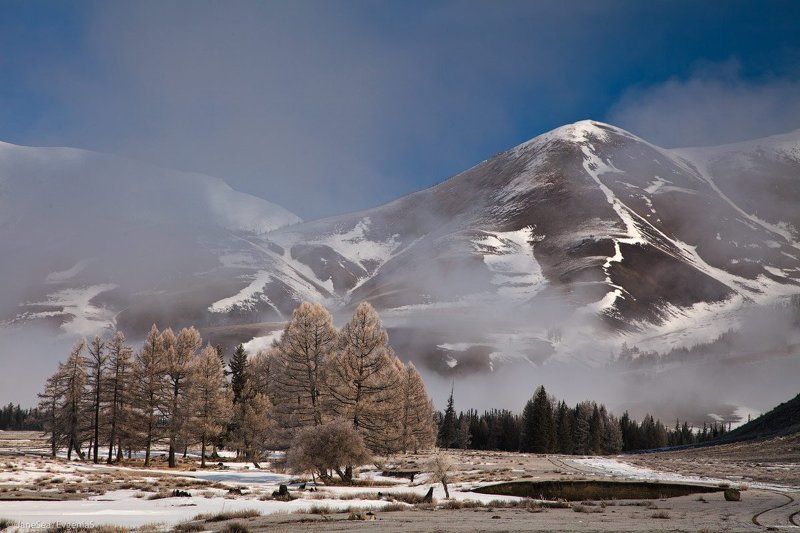 Алтай, Республика Алтай, Горный Алтай, межсезонье, март, 2015, Курайская степь, Курайский хребет, снег, лиственицы, туман, облака Паритphoto preview