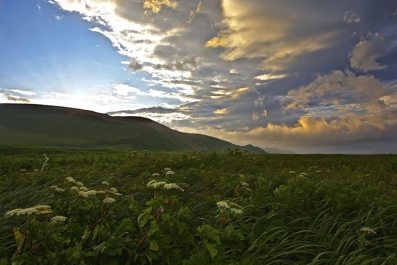 о. Беринга, Командоры, б. Половинаphoto preview