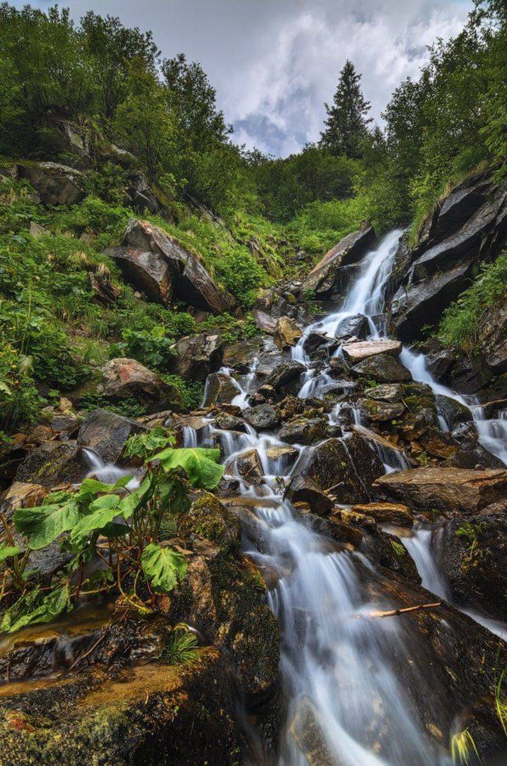 горы,карпаты,водопад,смотрич,лопухи,камни, U-235