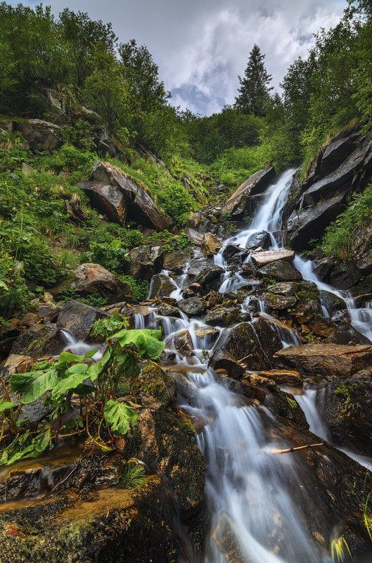 горы,карпаты,водопад,смотрич,лопухи,камни Мгновенье у Смотричаphoto preview