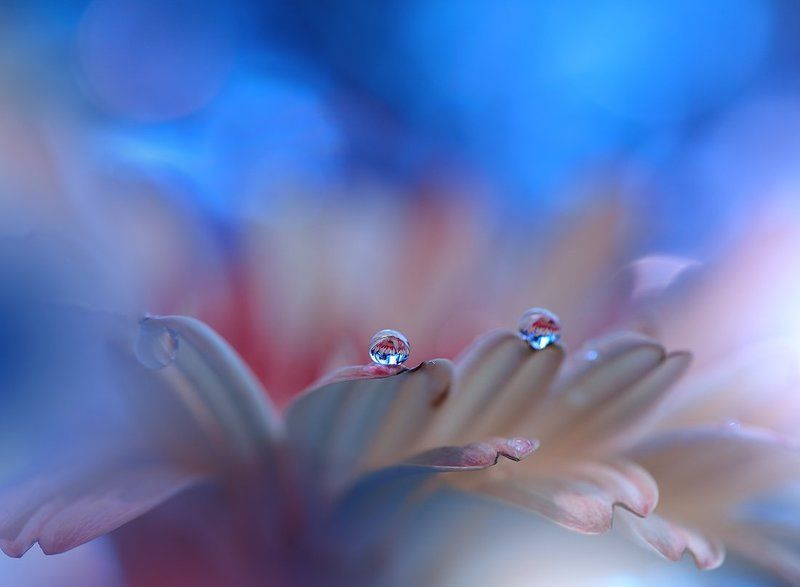 Hope...photo preview