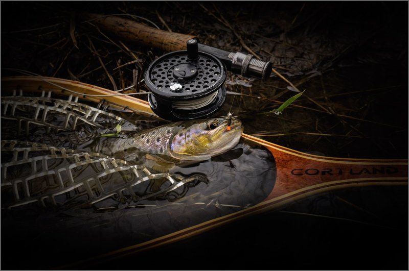 Flyfishing, Trout, Нахлыст, Река, Ручей, Рыбалка, Форель О весенней охоте на речного леопарда ....photo preview