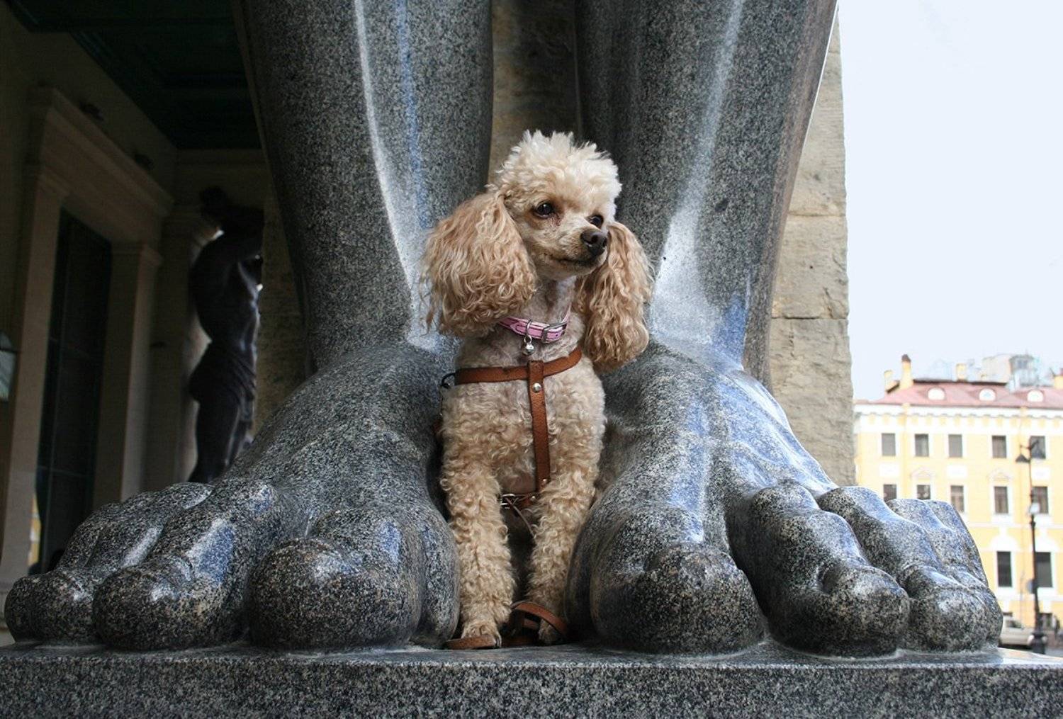 И жить ещё надежде…. Автор: Клековкин Александр атланты, Клековкин Александр