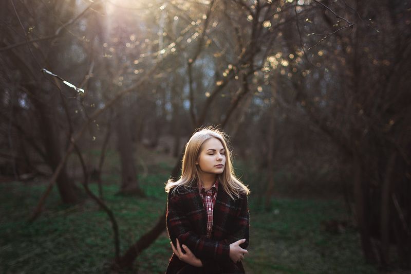 Magic in forestphoto preview