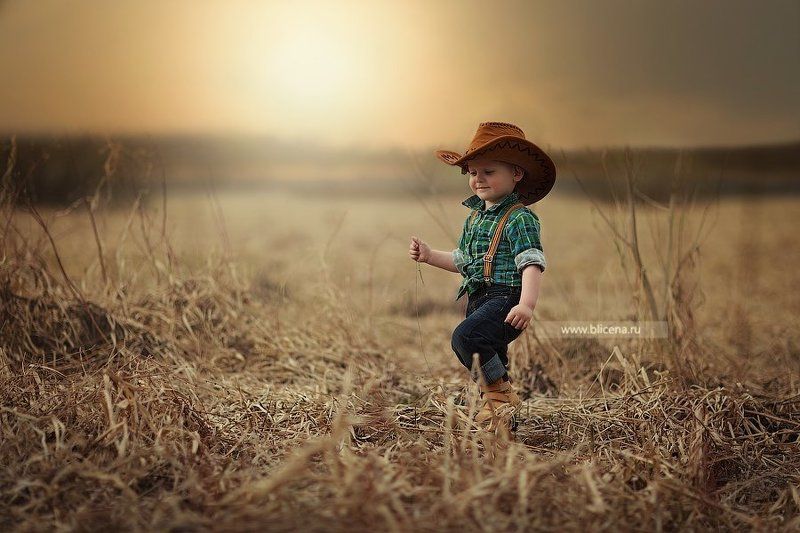 На закате.photo preview