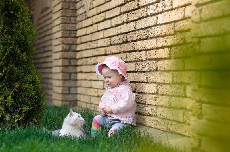 дети, ребенок, кот, трава, cat, green, kids, child Friendsphoto preview