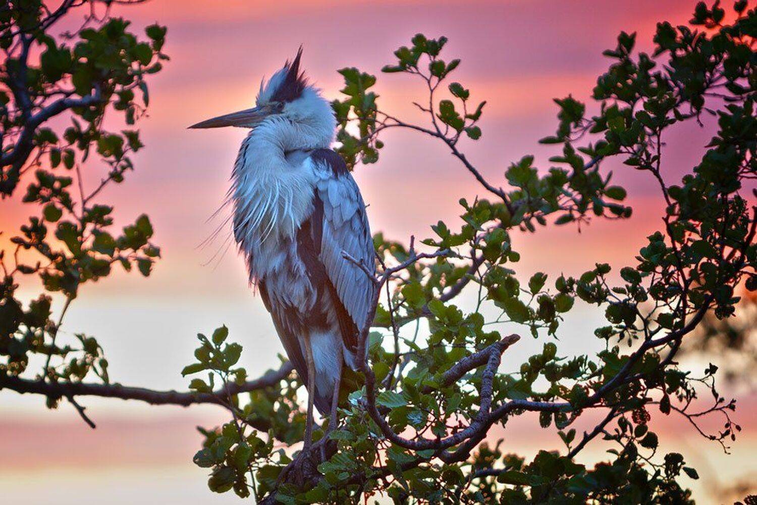 , Юрий Сорокин