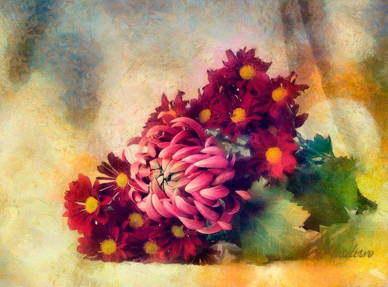 Pro Хризантемыphoto preview