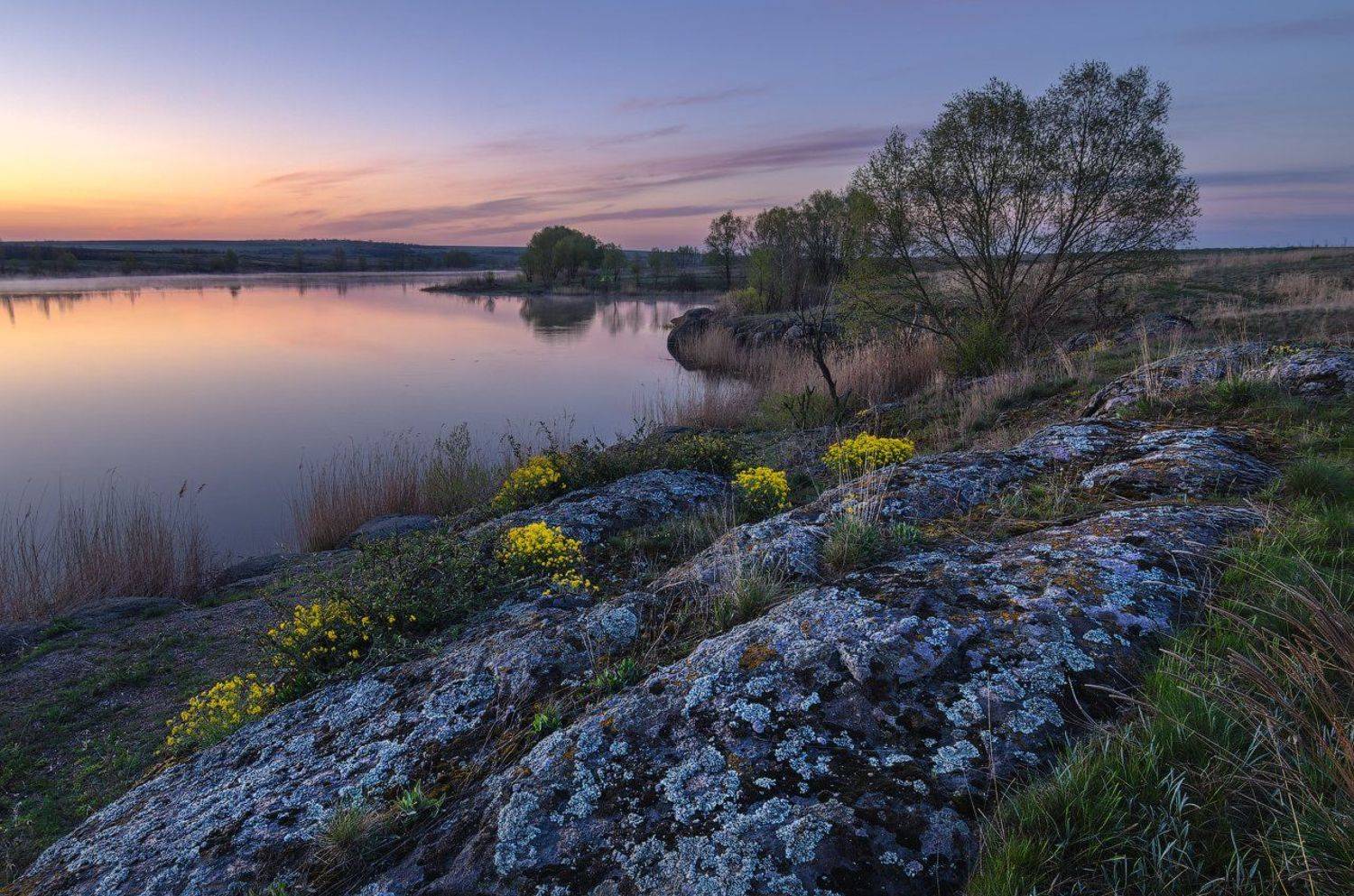 река, сугоклей, ивы, камни, рассвет, цветы, U-235