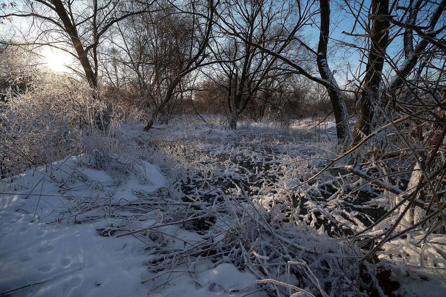 Автор: Стрельцов Виталий , Стрельцов Виталий