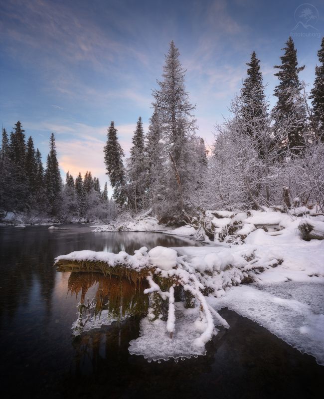 кольский, мурманская Речной житель фото превью