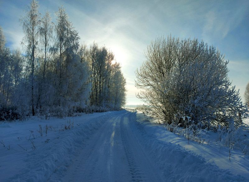 снег, зима, дорога, солнце, деревья Зимняя дорога.photo preview