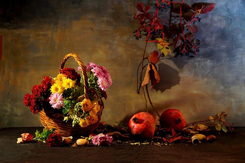 chrysanthemum chrysanthemumphoto preview