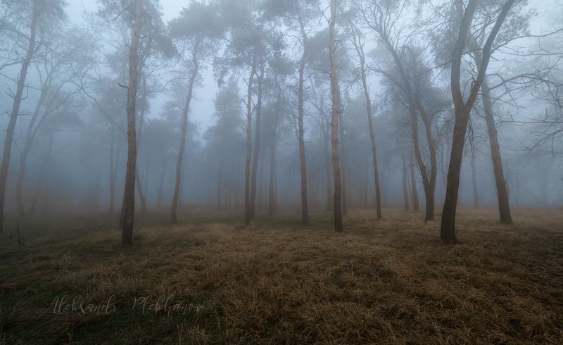 Туманы в черте города фото превью