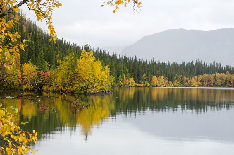 Сейдозеро таежный вальсphoto preview