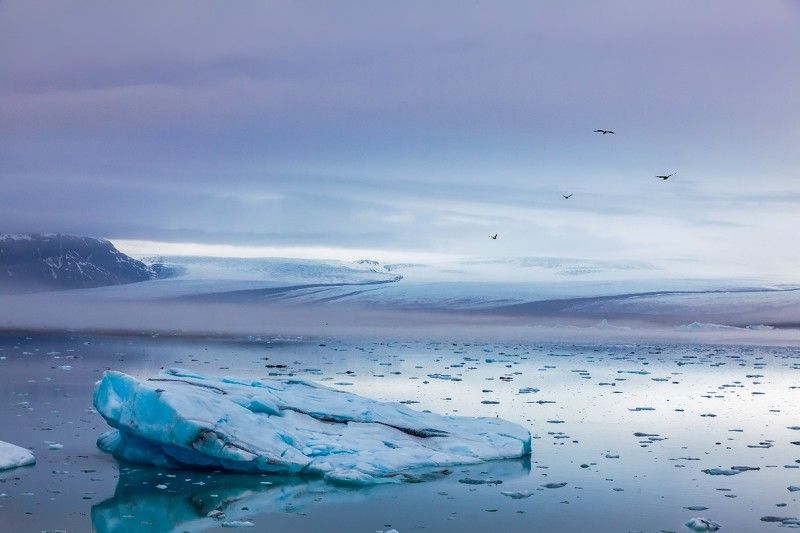 Glacierphoto preview