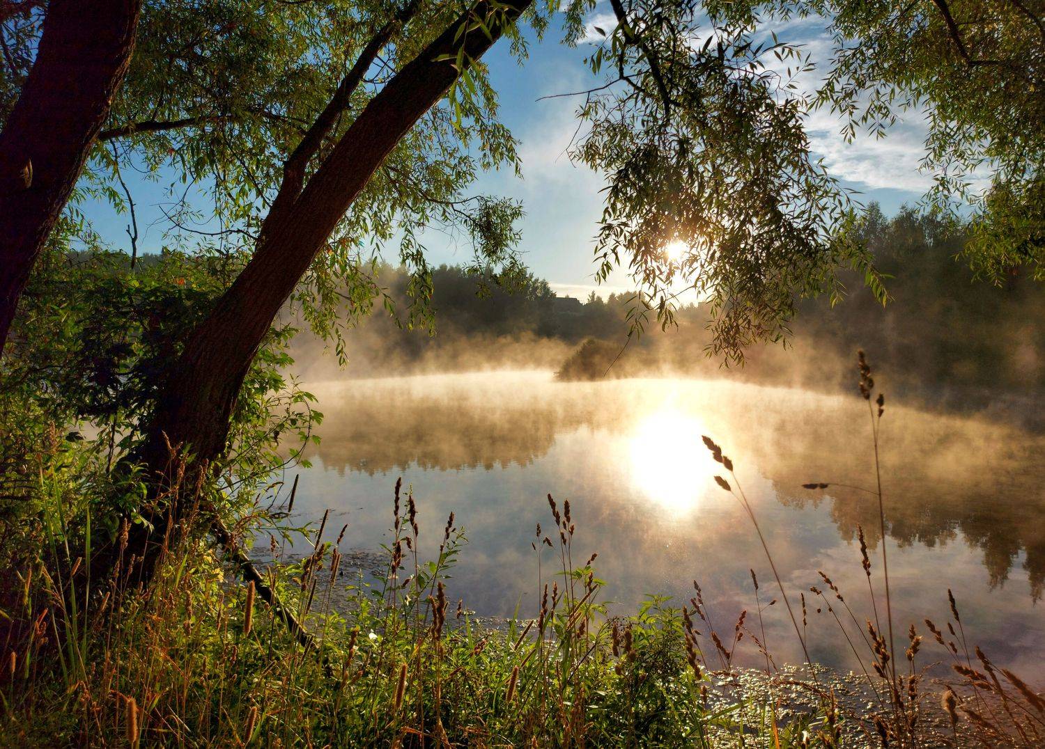 Летнее утро.. Автор: Валерий Савостьянов рассвет, туман, пруд, солнце, утро, Валерий Савостьянов