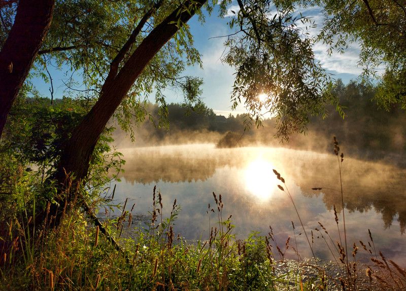 рассвет, туман, пруд, солнце, утро Летнее утро.photo preview