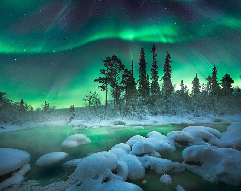 кольский полуостров,кольский,зима,winter,snow,kola peninsula,forest,aurora borealis Magic nightphoto preview