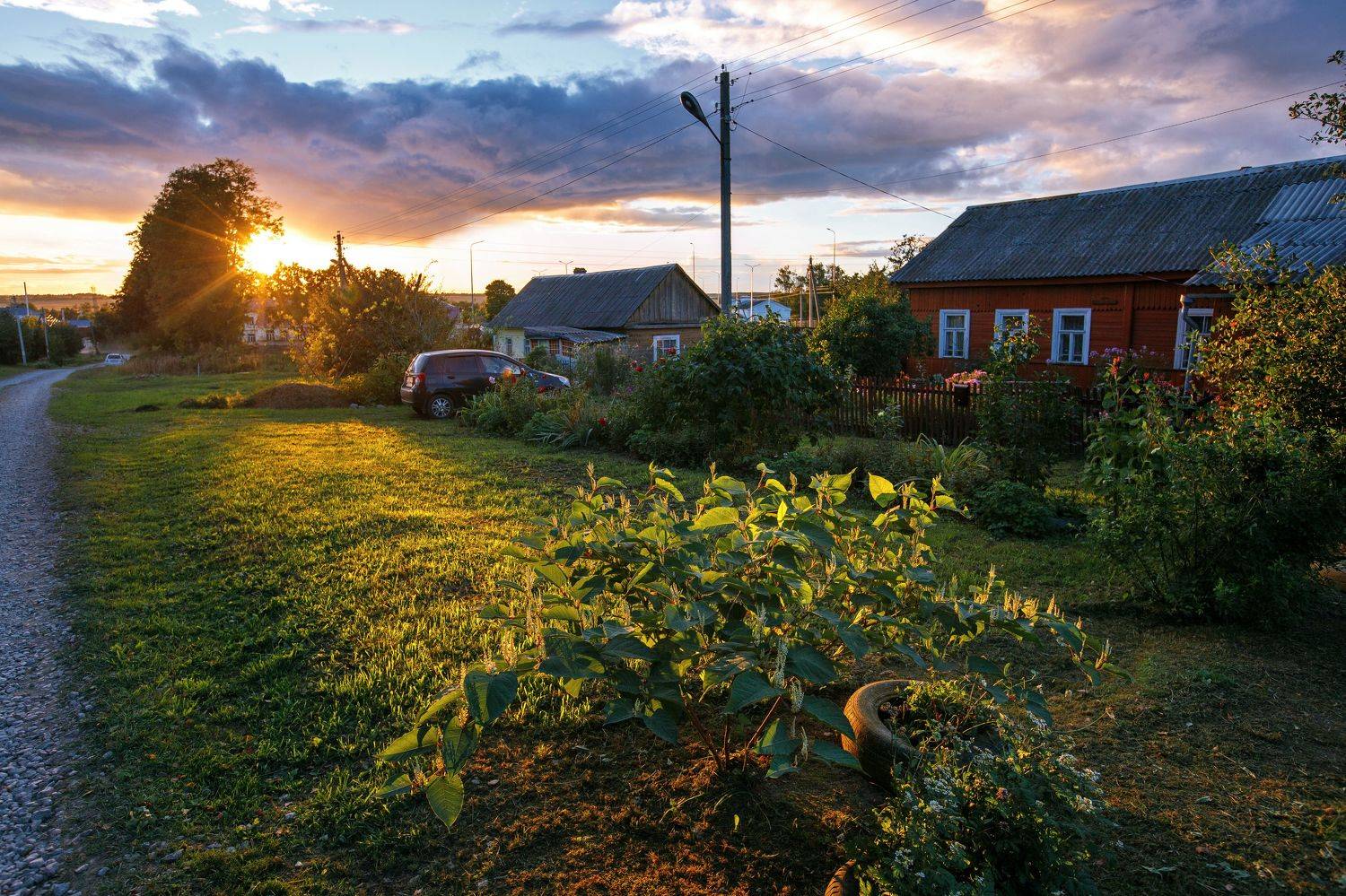 .... Автор: Alexey Belov , Alexey Belov