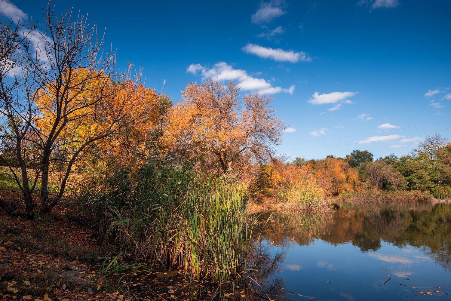 озеро карасун, Алексей Рыльский
