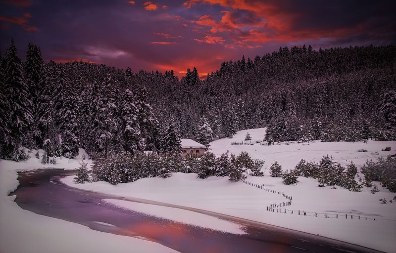 My portfoliophoto preview