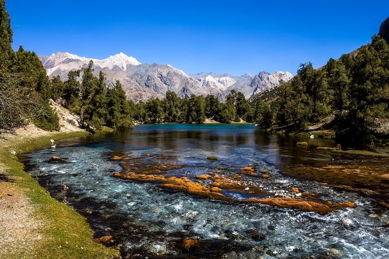 Фаны photo preview