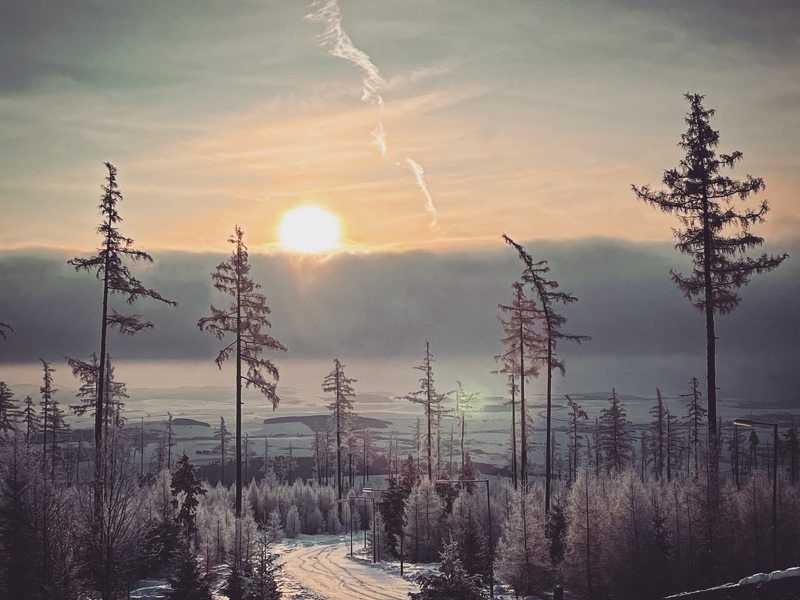 Morningphoto preview