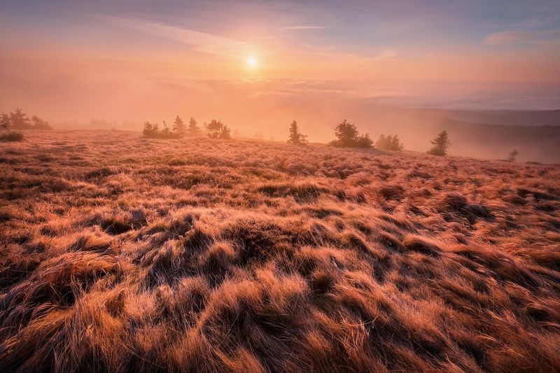 landscape, autumn Autumn Impressphoto preview