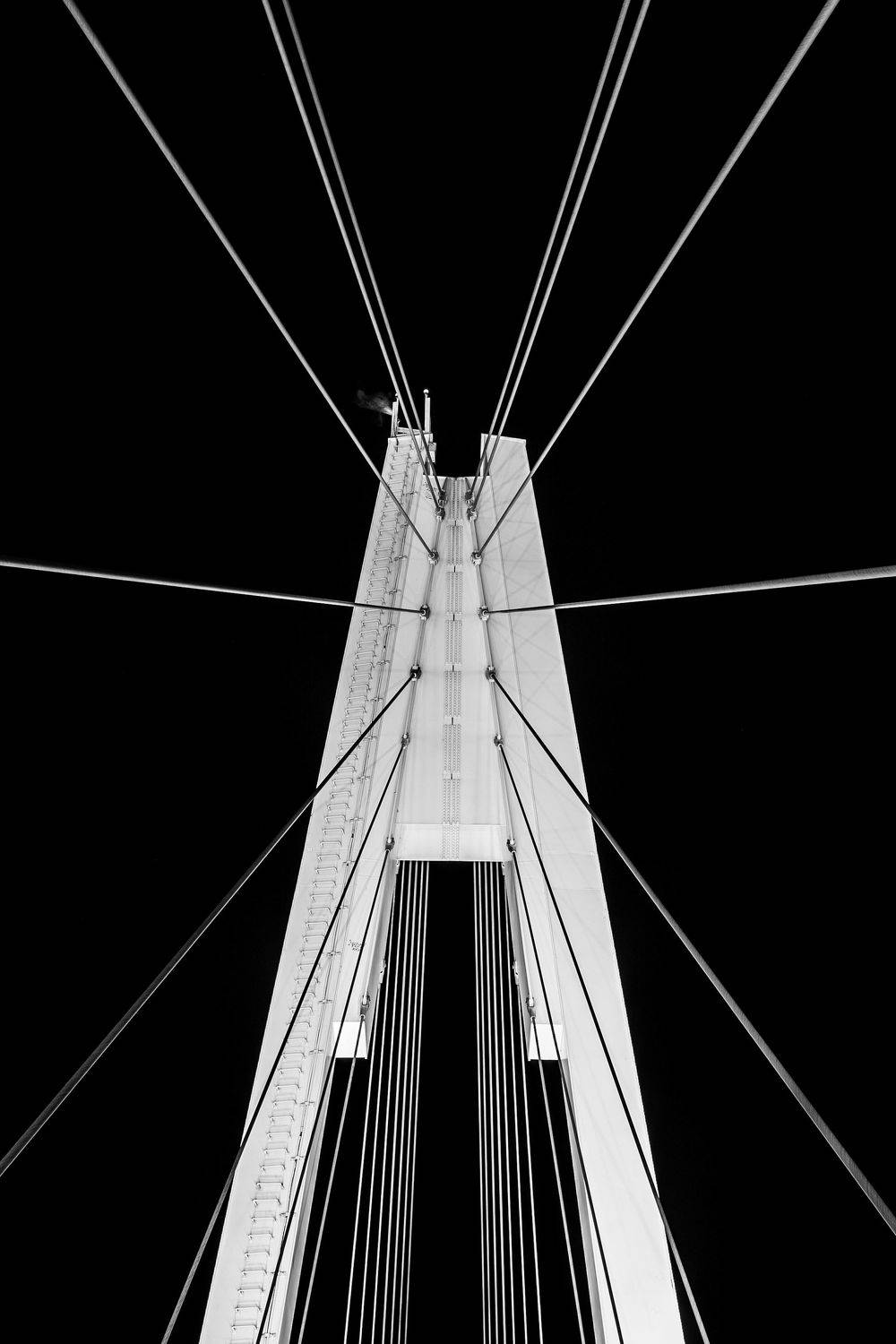 Струны. Автор: Казаков Александр , Казаков Александр