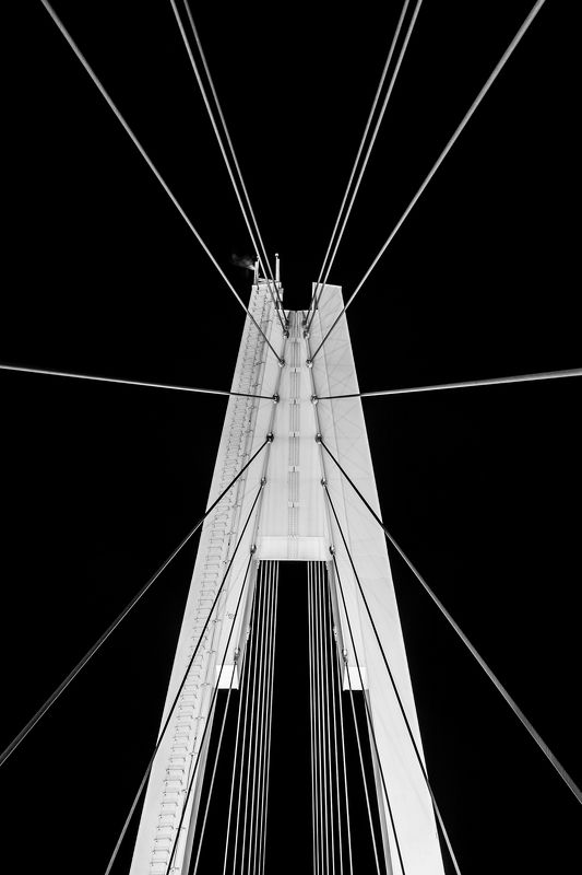 Струныphoto preview