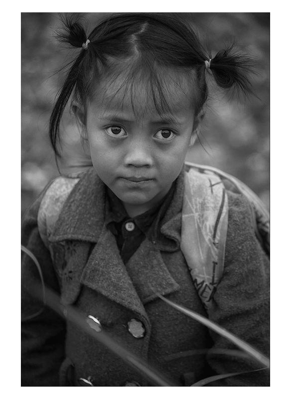 рис, вьетнам, образ, люди, терраса, фотопроект, фототур, выставка, фильм, art Rice&Icon of Vietnamphoto preview