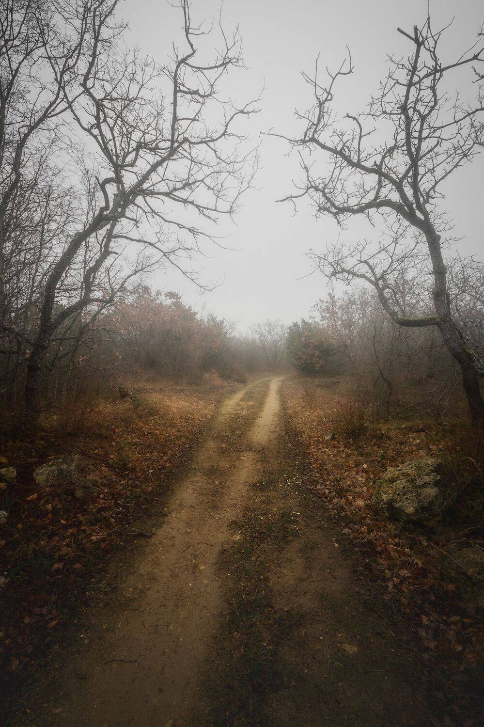 крым, туман,, Черкасов Сергей