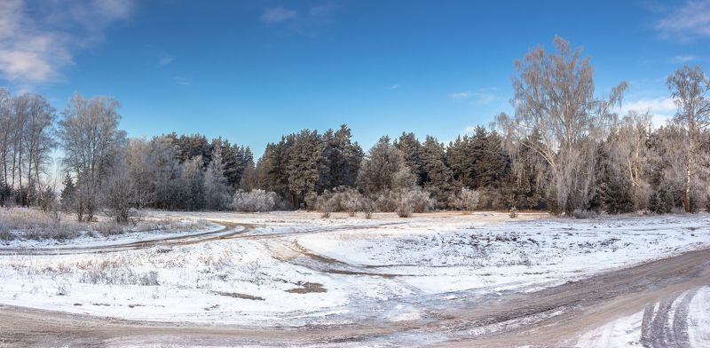 лес, зима, мороз, иней, природа photo preview