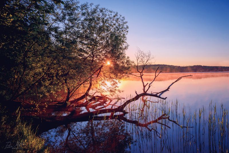 Весной на Вячеphoto preview