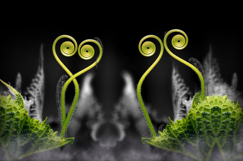 creative, креатив, манипуляция, концепция, абстракция, цифровое, искусство, abstraction, digital, art, ghosts Призраки прошлого...photo preview