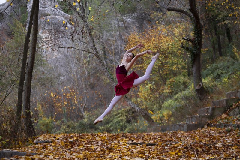 ballerina Ballarina in naturephoto preview