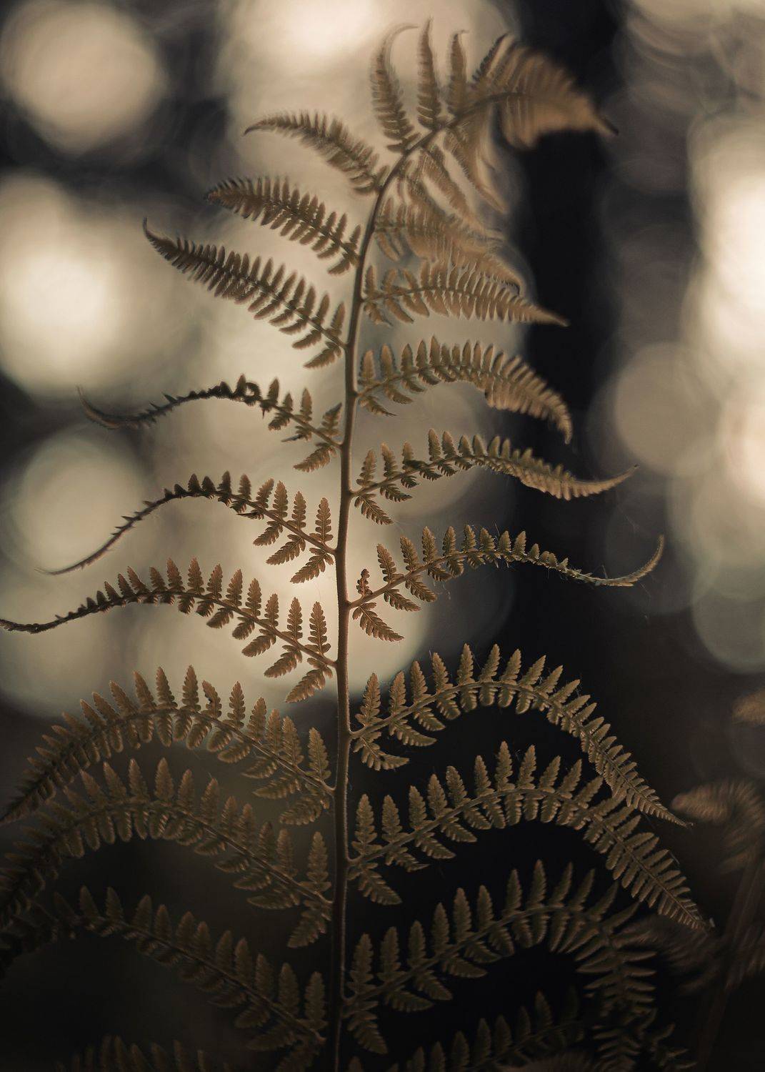 Автор: Александр Вайсберг , Александр Вайсберг