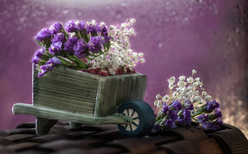 натюрморт,цветы,этюд, тачка,ваза,боке,сиреневое, Доставкаphoto preview