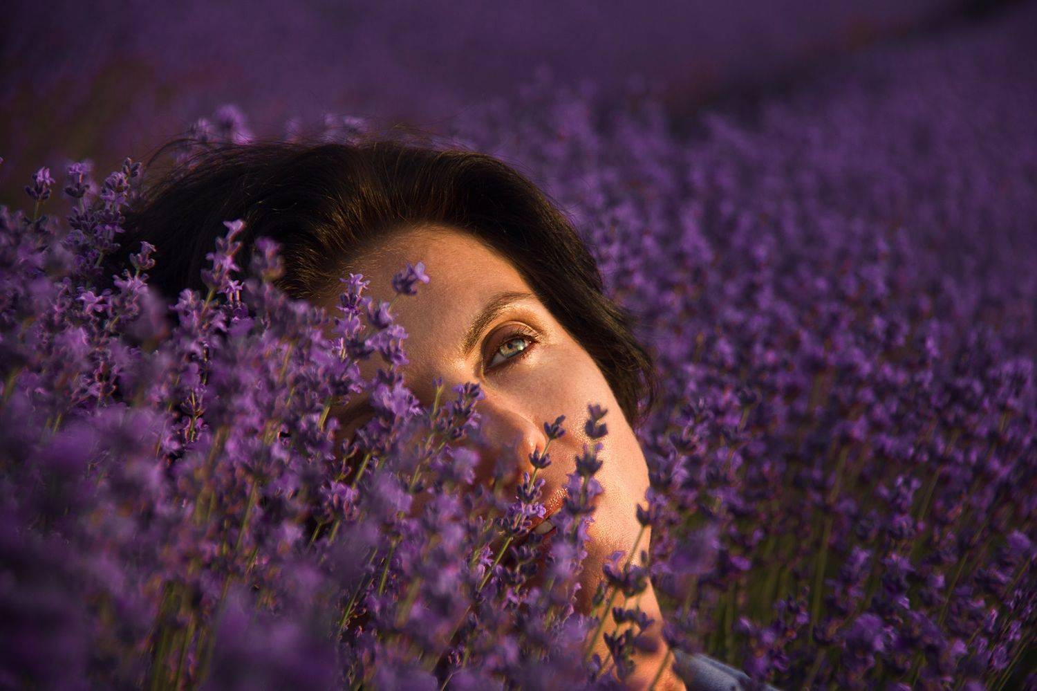 Лаванда, лавандовое поле, lavender, Ксения Орлова