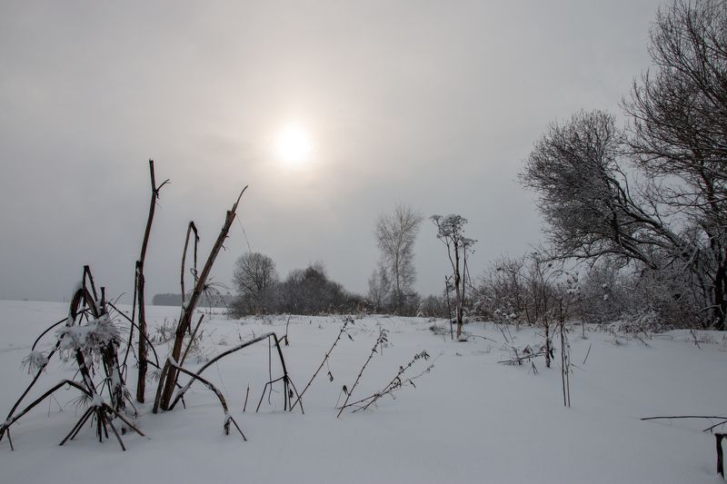 Серостьphoto preview